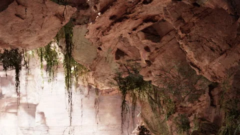 Exploring natural caves with rocky formations and plants inside the cave Stock Footage 340029334
