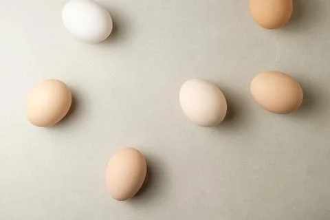 Exploring the natural elegance of eggs on a simple background Stock Photos