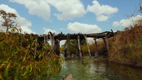 Exploring the natural landscape of okavango delta in africa Stock Footage 327674518