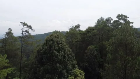 Exploring Nature - 4K Wildlife Documentary Stock Footage 235827566