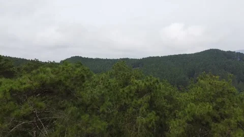 Exploring Nature - 4K Wildlife Documentary Stock Footage 235828470