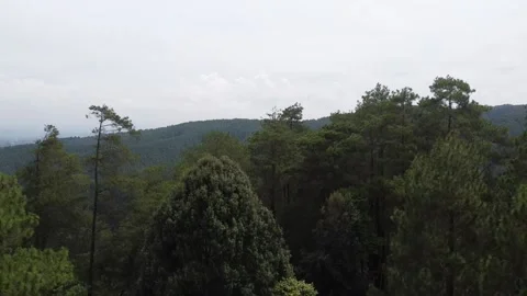Exploring Nature - 4K Wildlife Documentary Stock Footage 235828495