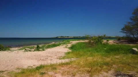 Exploring a nature area by the water under the sun with trees and grass aroun Stock Footage 339932252