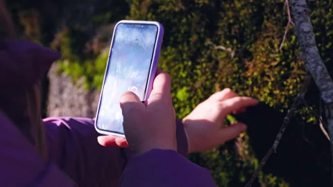 Exploring Nature Capturing Beautiful Moments with a Smartphone Camera on the Go Stock Footage 282143880