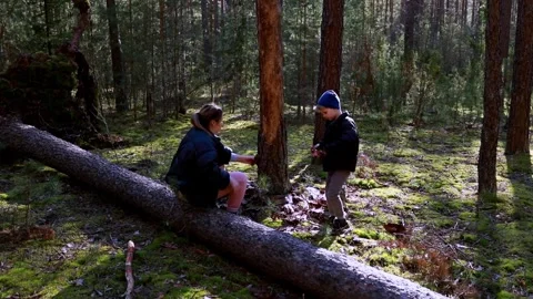 Exploring nature with a child in a serene forest on a sunny day in early spring Stock Footage 306444180