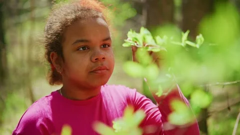 Exploring nature with curiosity in a serene forest environment during daylight Stock Footage 308301496