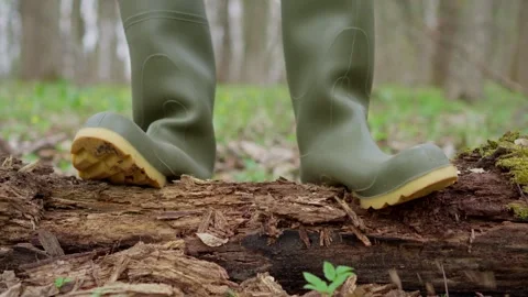 Exploring nature in green rubber boots while walking over a fallen log in the Stock Footage 306016102