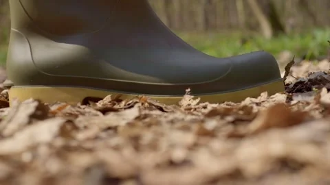 Exploring nature A peaceful path of autumn colors and greenery, connecting us to Stock Footage 305268688