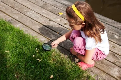 Exploring nature Stock Photos