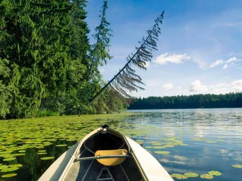 Exploring nature Stock Photos