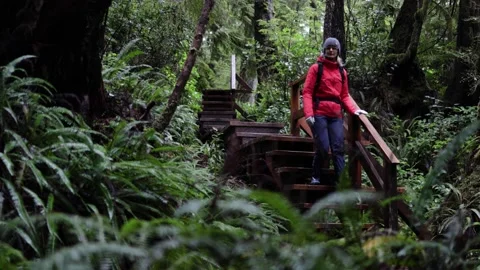 Exploring A Nature Reserve  Stock Footage 167386859