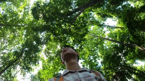 Exploring Nature Under the Canopy Stock Footage 314593759