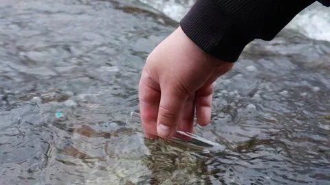 Exploring nature's secrets with a scientific touch in calm waters 스톡 동영상 295338589