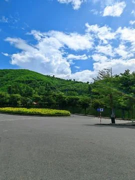 Exploring Nature's Tranquil Pathway Stock Photos