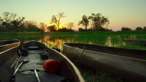 Exploring Okavango Delta at sunset on a boat trip through the water Stock Footage 326019090