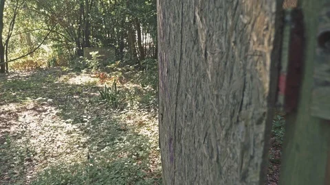 Exploring old and dilapidated building in the forest.Mistery,danger 스톡 동영상 98611985