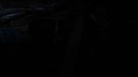 Exploring an old house with flashlight Video stock 6763948