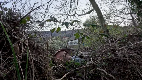 Exploring an overgrown area near a river with trees and bushes during a quiet Vidéo 333005683