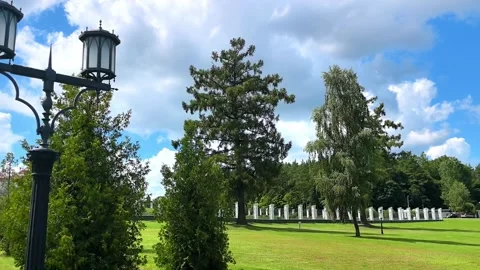 Exploring a park with green grass and trees on a sunny day in the afternoon Stock Footage 326375589