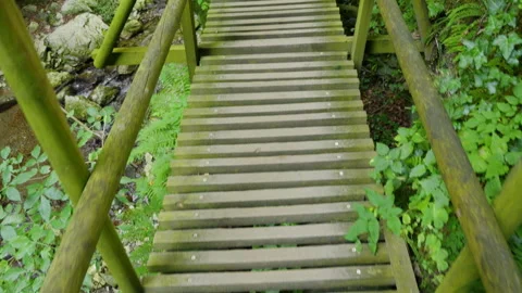 Exploring the path through greenery in the Kesselfall Gorge, Styria, Austria Stock Footage 318161769