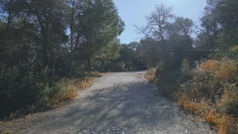 Exploring the pathways in Benidorm in sunlight among trees and shrubs during a c Stock Footage 337151987