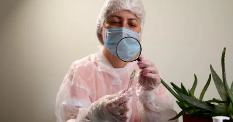 Exploring Plant Properties in the Laboratory for Pharmaceutical Research Stock Footage 315206553