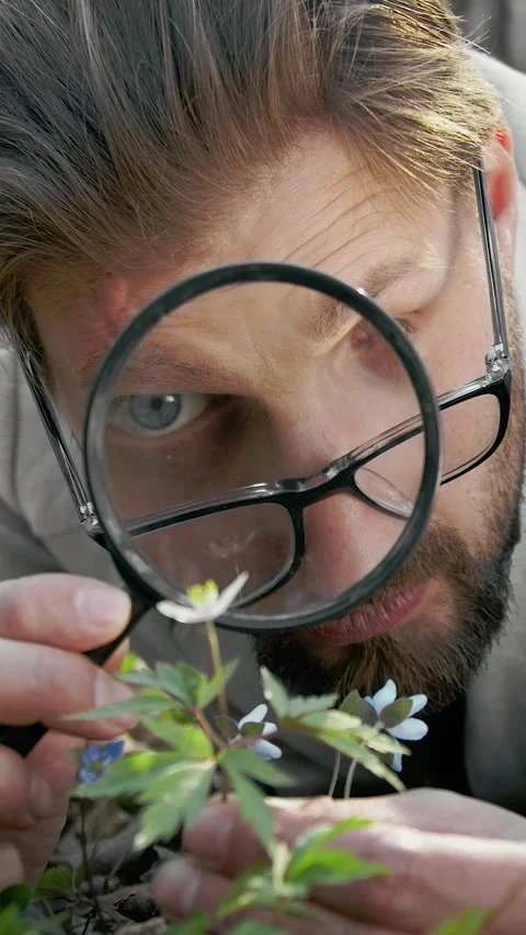 Exploring Plants With a Lens Stock Footage 322793906