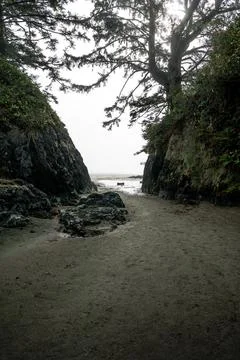 Exploring a quiet coastal pathway at low tide Stock Photos
