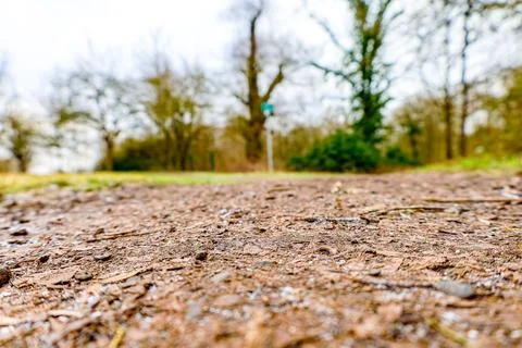 Exploring a quiet path surrounded by nature, highlighting muddy ground and .. Stock Photos