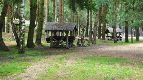 Exploring a quiet picnic area in the forest during a sunny day Stock Footage 337966113