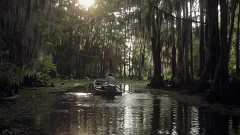 Exploring a quiet waterway in the forest during late afternoon hours Stock Footage 327959440