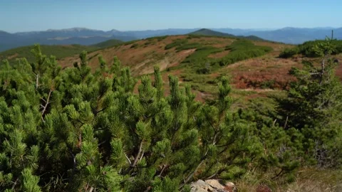 Exploring the rich greenery and vast landscapes in the mountains Stock Footage 318598342