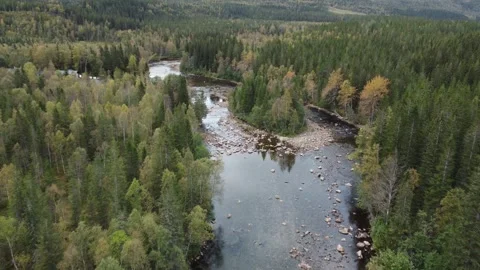 Exploring a river surrounded by forests in autumn with clear water Stock Footage 327584466