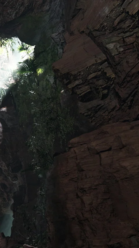 Exploring rock formations and greenery in a cave during daylight hours Stock Footage 341983833