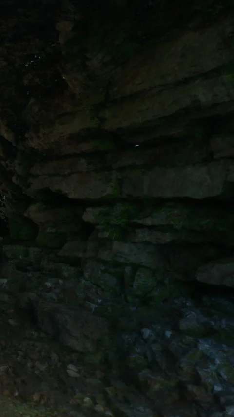 Exploring a rocky cave with green moss and stone texture near a forest Stock Footage 343194704