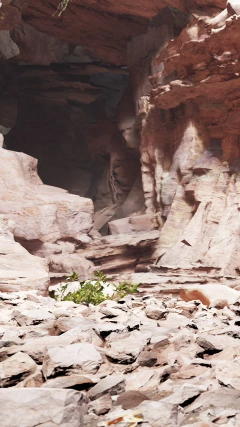 Exploring a rocky cave with natural light and small plants growing Stock Footage 340281200