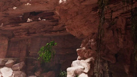 Exploring a rocky cave with plants and unique stone formations Stock Footage 338323604
