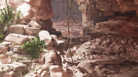 Exploring a rocky cave with plants and natural light in a desert environment Stock Footage 341010114