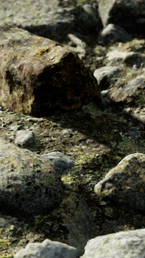 Exploring rocky ground with scattered stones and patches of moss around Stock Footage 333566045
