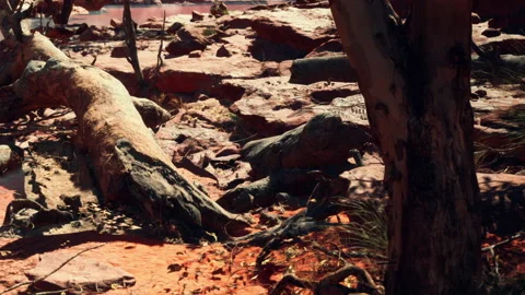 Exploring rocky landscape with a fallen tree near water during daylight Stock Footage 341009701