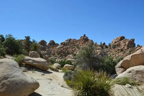 Exploring Rugged Rock Formations Under the Bright Blue Sky in Nature's Sanctuary Stock Photos