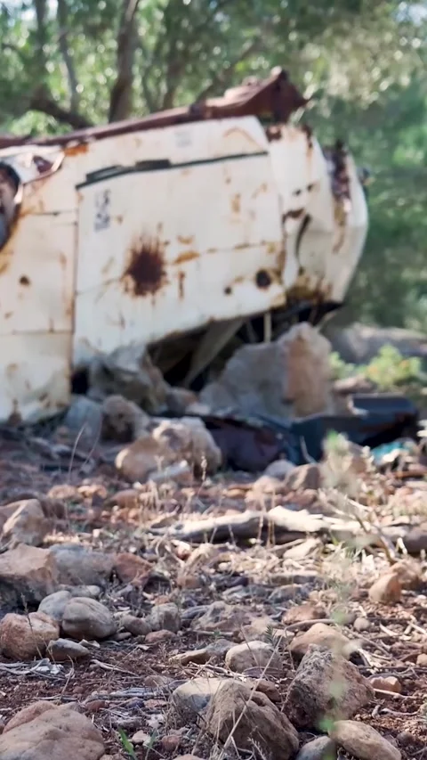 Exploring rusted abandoned car in overgrown natural setting Stock Footage 294963793
