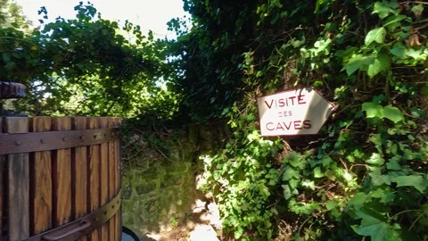 Exploring Saint-Ãmilion Wine Caves Video stock 317605400