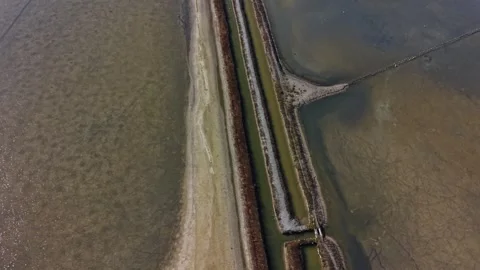 Exploring a salt mine along the coast with mineral-rich deposits Video stock 337939778
