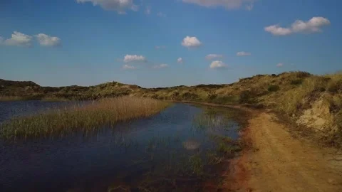 Exploring a sandy lake shore in the afternoon sun with green grass and blue s Stock Footage 339933888