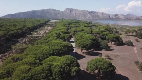 Exploring the scenic natural landscape of a tranquil coastal area Stock Footage 301735542