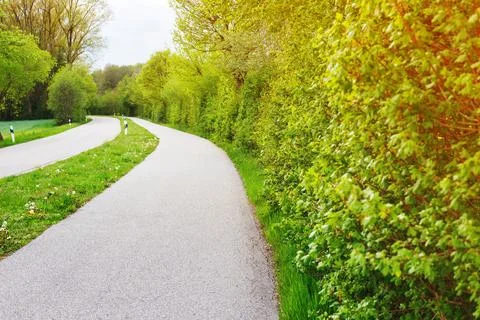 Exploring the Scenic Pedestrian Path Alongside a Rural Road Foto stock