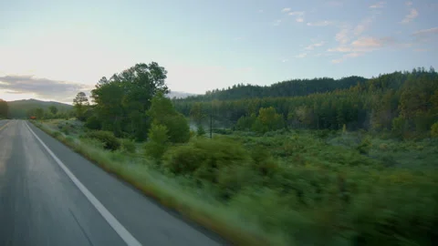 Exploring a scenic road through a tranquil forest at dawn Stock Footage 288591242