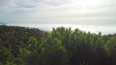 Exploring a Sea of ​​Clouds from the Heights Video stock 292630850