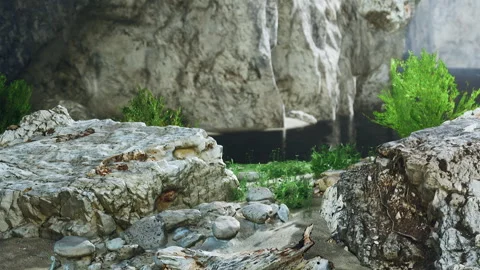 Exploring the Serene Beauty of a Hidden Natural Oasis by the Water 스톡 동영상 344927697